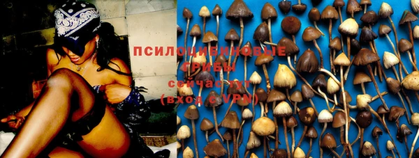 а пвп мука Армянск