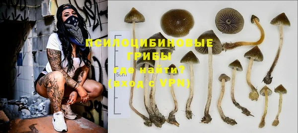 а пвп мука Армянск