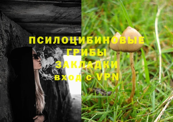 винт Аркадак