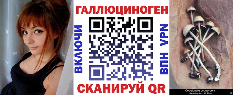 Псилоцибиновые грибы мицелий  сколько стоит  мега как зайти  Владивосток 