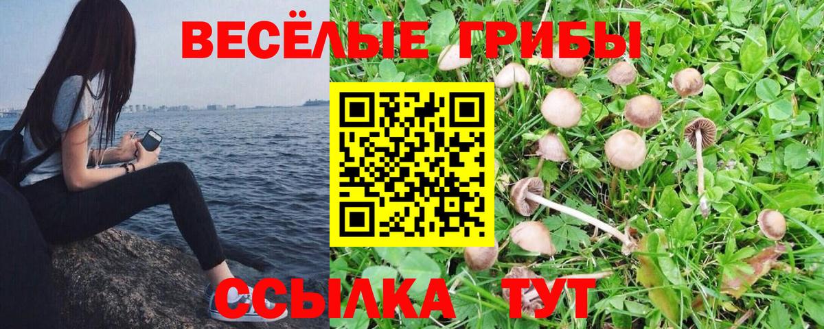 Владивосток  Галлюциногенные грибы GOLDEN TEACHER  Вход с VPN 